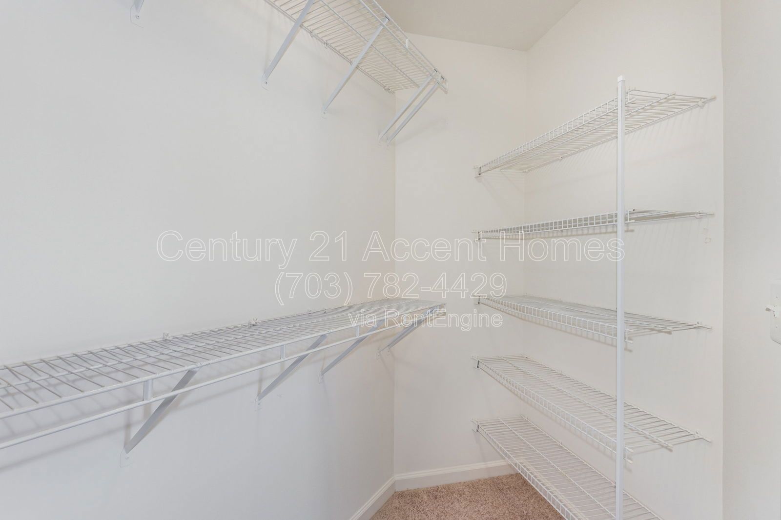 9780 Lorraine Carol property image