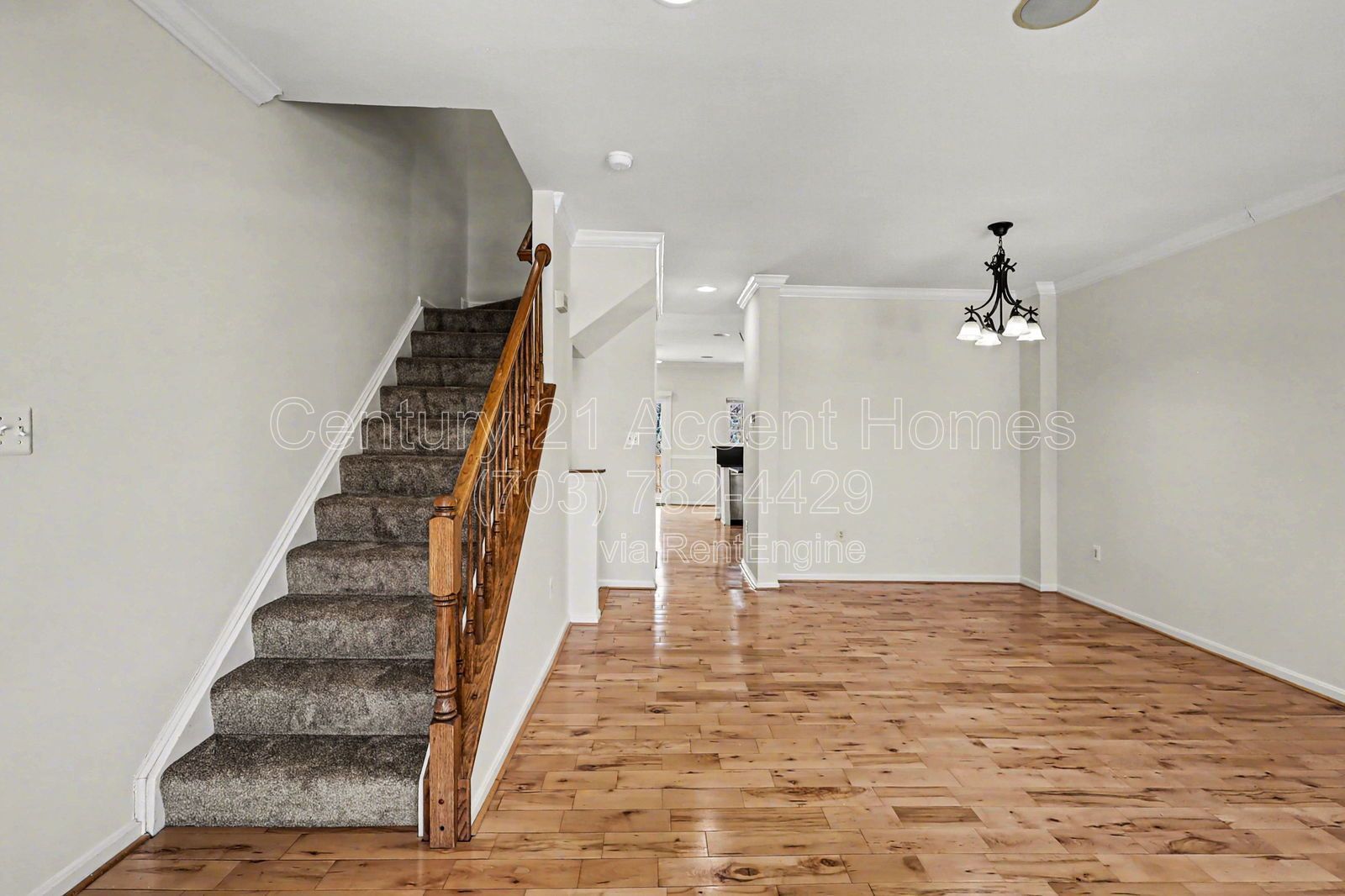 4035 Cressida Place property image