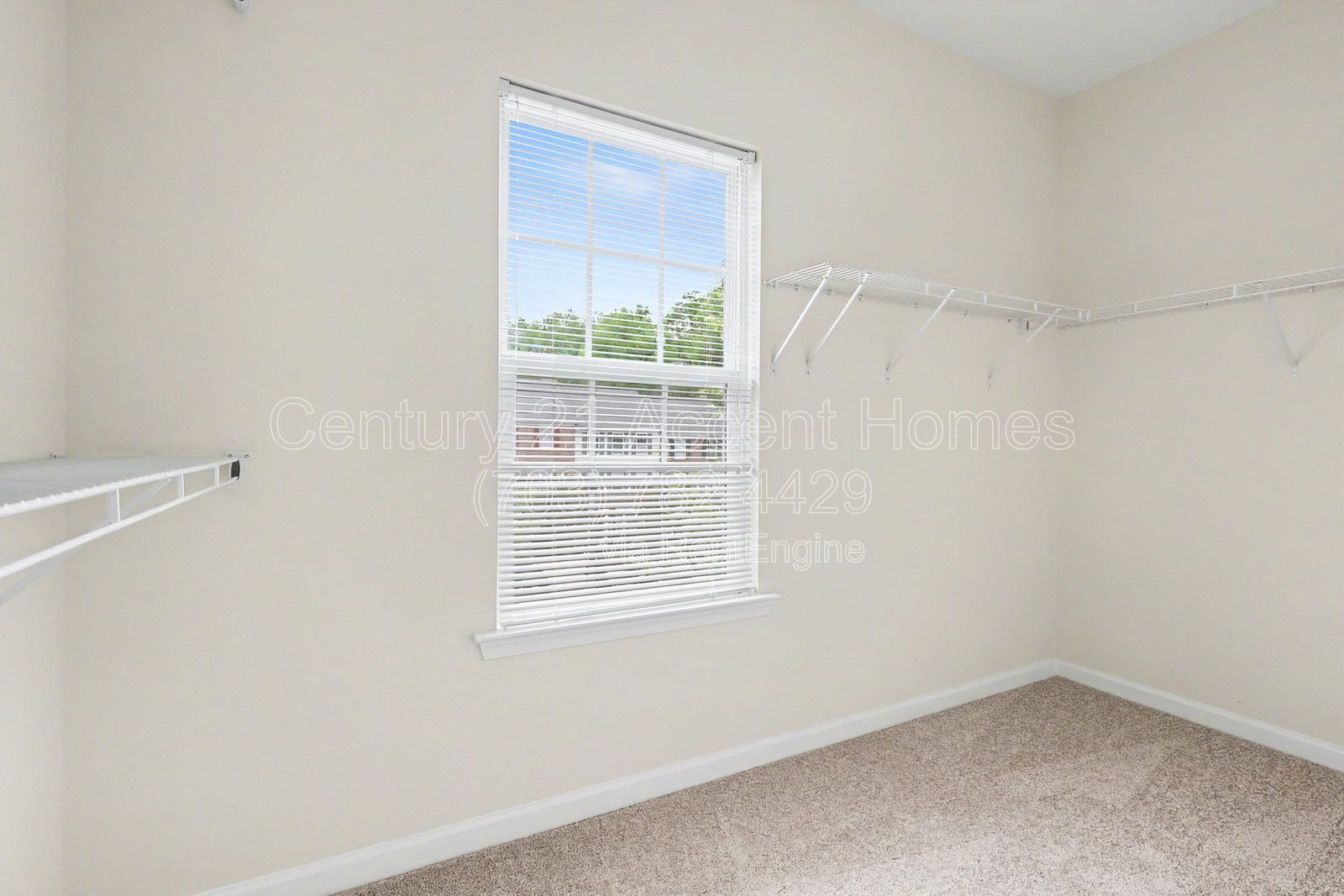 23515 Forest Haven property image