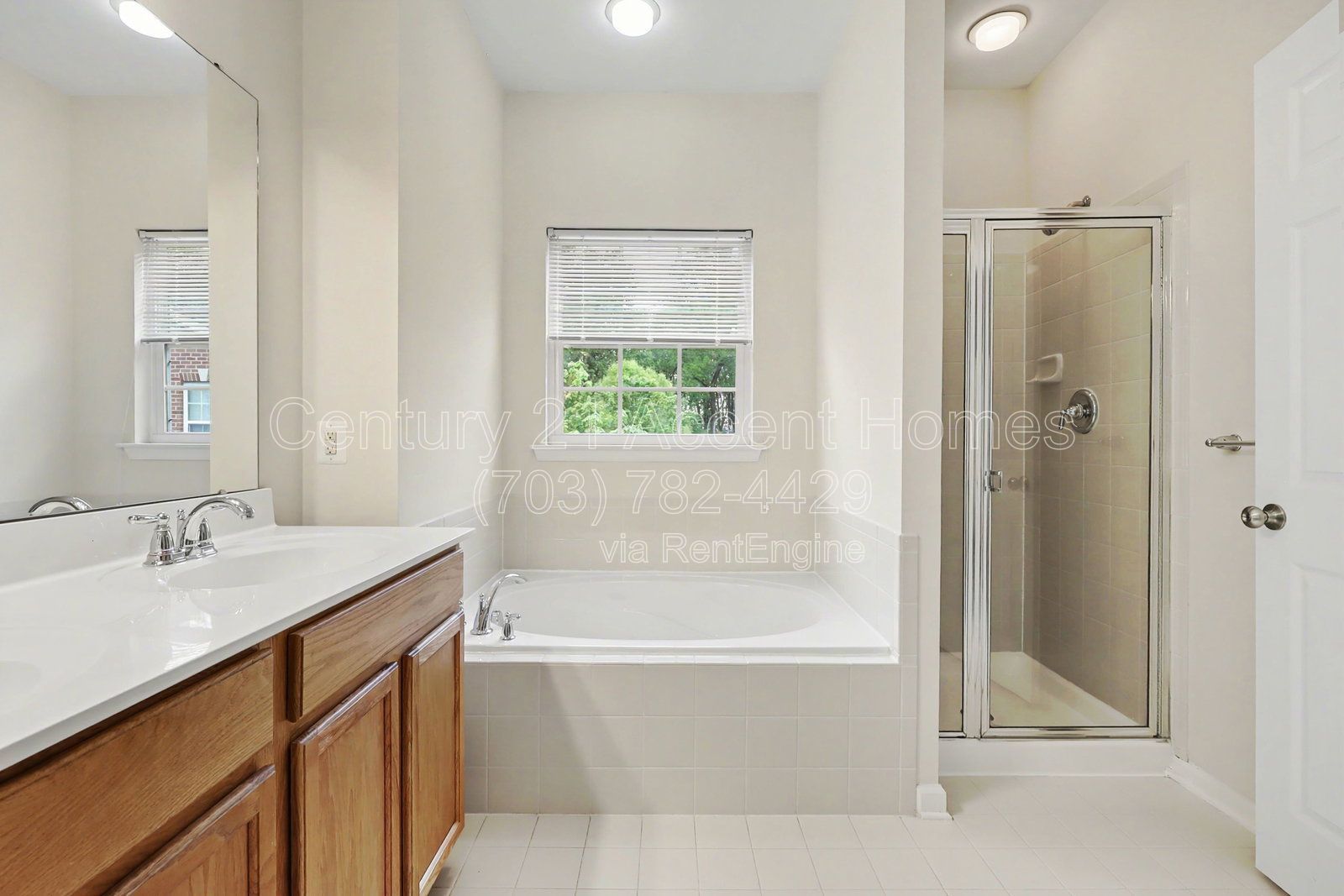 23515 Forest Haven property image