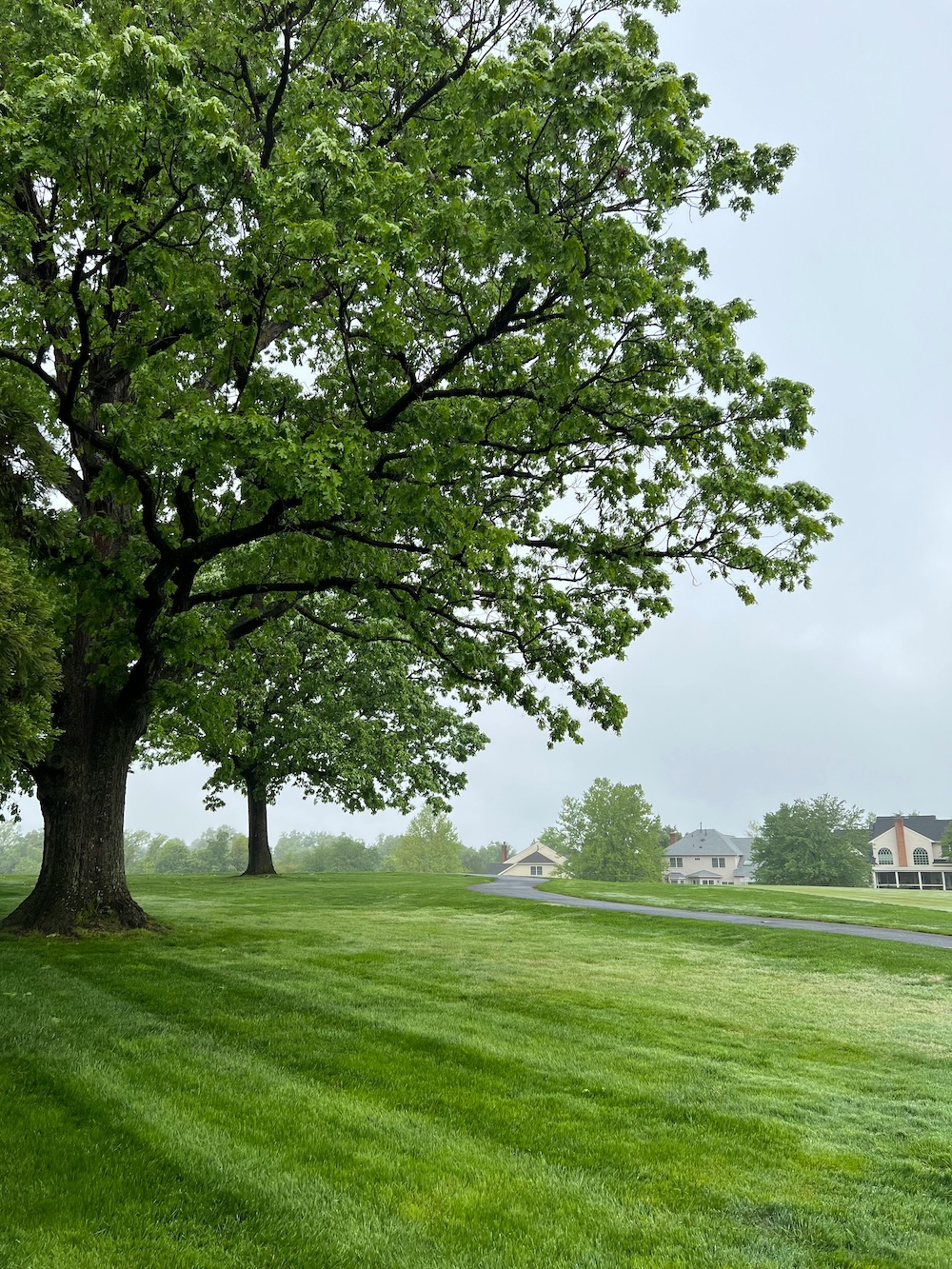 Ashburn Property Management: Strategies for Maximizing Rental Income