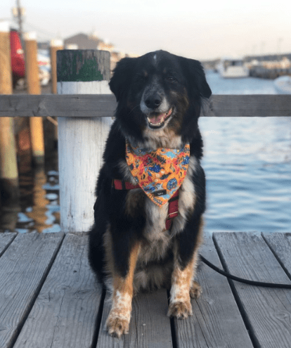 Picture of Remington